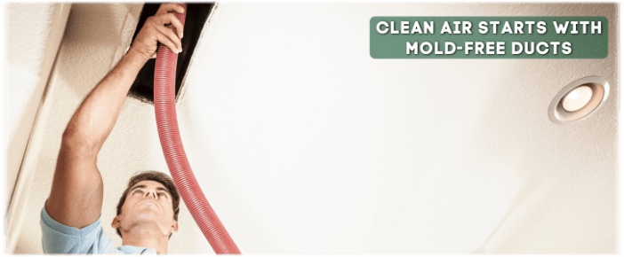 Air Duct Mold Removal in North Houston