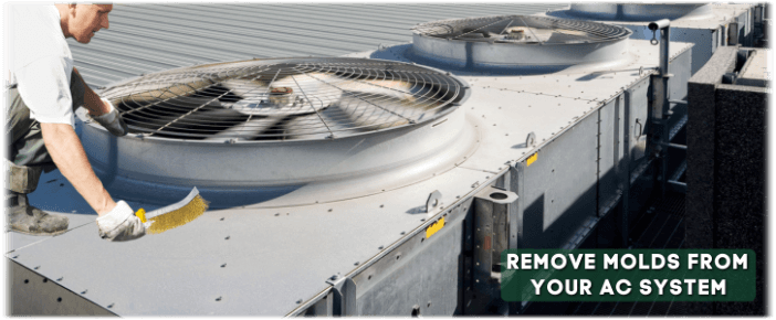 HVAC Mold Removal North Houston